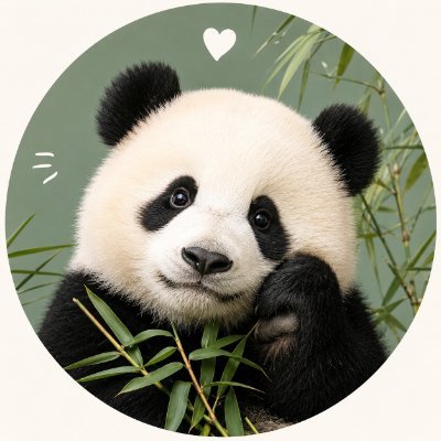 Panda Mood's profile picture