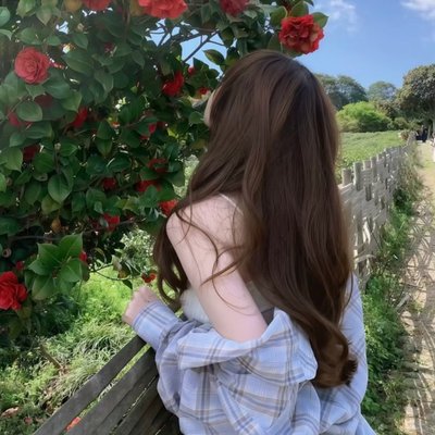 popodcqa's profile picture