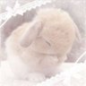 Фото профиля 𝑚𝑢ྀི