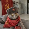 Дмитрий Юрьевич profil fotoğrafı