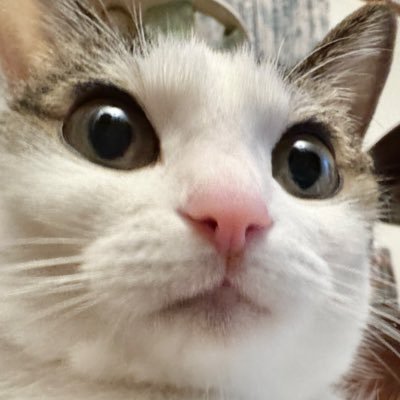 joyfuldays_'s profile picture