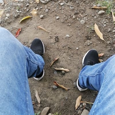 Rodrigokfxo's profile picture