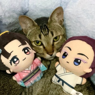 jiuyu0's profile picture