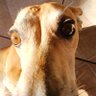 Profilbild von Jujuju