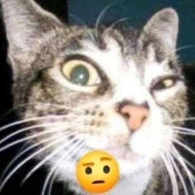 bit🔻|on VGEN's profile picture