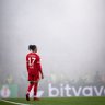 Xavier's profile picture