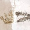 Фото профиля Amália