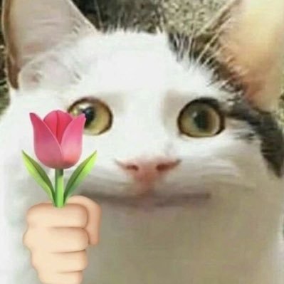 kentima_'s profile picture
