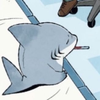 nika 🦈's profile picture