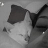 pequeee+ยฒยฒ๐บ๐ฆ profil fotoฤrafฤฑ
