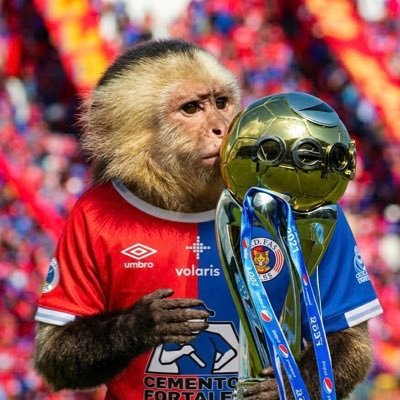 UnMonitoFASistaCAMPEÓN's profile picture
