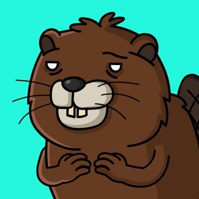 BoberCTO's profile picture