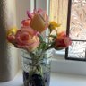 ohsohappy profil fotoğrafı