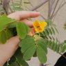 njaah 的头像