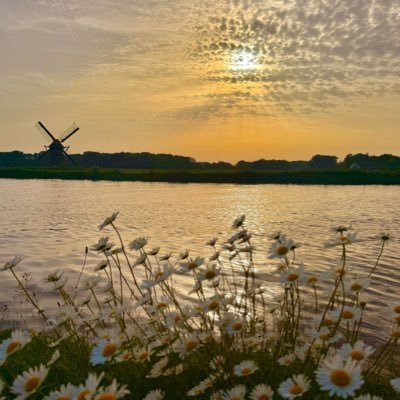 Jan de Knecht's profile picture