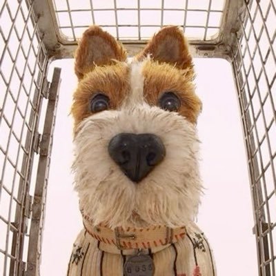becca's profile picture