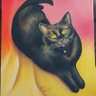 CrazyCatLady 😻's profile picture