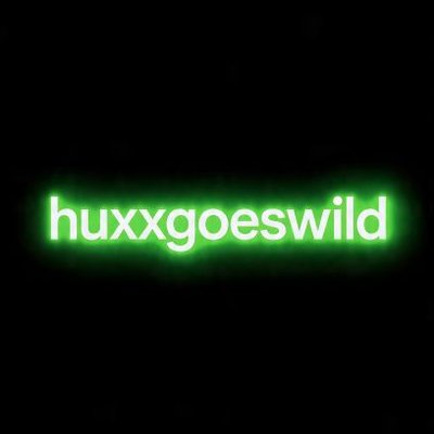 huxxgoeswild's profile picture