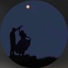جود محمد🎓's profile picture