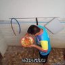 กาลครั้ง...เราเคย (เดี่ยววัย50)'s profile picture