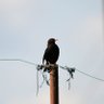 photoABELgraphy's profile picture