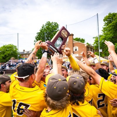 BW Baseball's profile picture