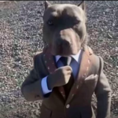 DavisPetty42522's profile picture