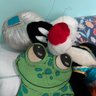 Profilbild von Tammy Kennett