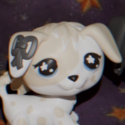 𓊆ྀི♱𓊇ྀི's profile picture