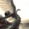 🦢 profil fotoğrafı