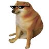 Dogboi🔫 的头像