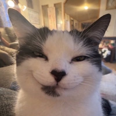 sluttybaby4u_'s profile picture