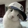 Profilbild von pitfaggot