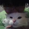 Wenny Cárdenas profil fotoğrafı