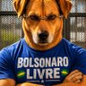 Augusto SO's profile picture