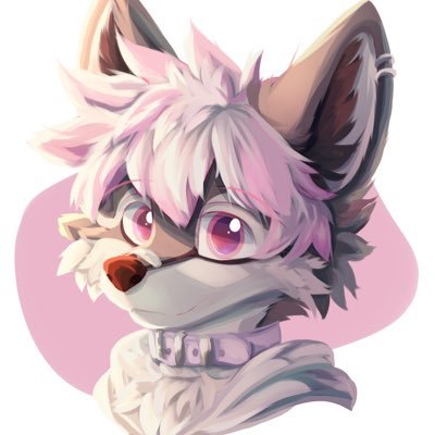 purbleboyyy's profile picture