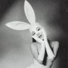 angel🐰 的头像