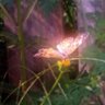 starlette profil fotoğrafı