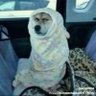 Mimi profil fotoğrafı