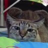 ชาวบ้านไปเรื่อย profil fotoğrafı