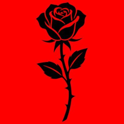 nakedlunchstuff's profile picture