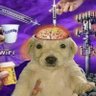 luvie's profile picture