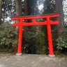 高市タヒ profil fotoğrafı