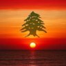 insideLebanon's profile picture