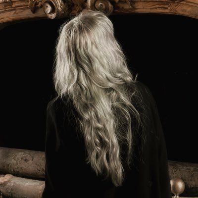 silver fox's profile picture