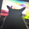 ネッチョ 的头像