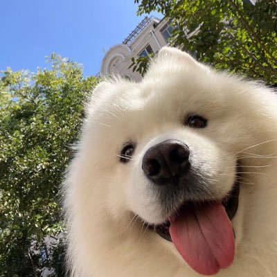 llladypp's profile picture