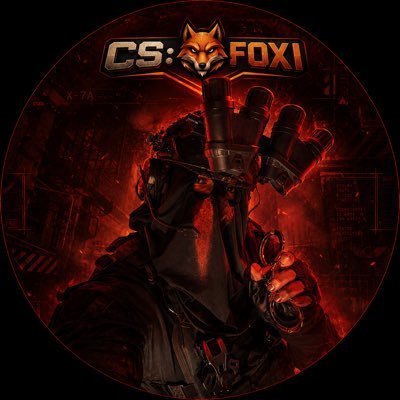 STARLORD_FOXI's profile picture