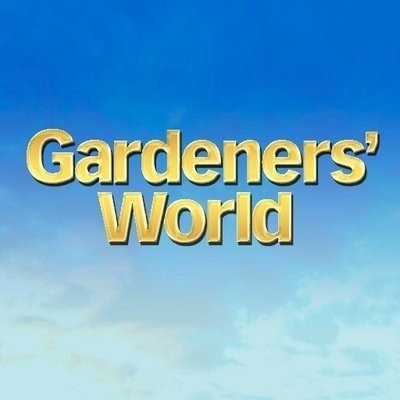 GWandShows's profile picture