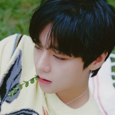루미's profile picture